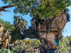 -奥兰多迪士尼动物王国乐园