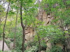 -大岭沟猕猴桃谷风景区