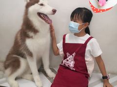 -星多哈·狗咖·拼豆·咖啡