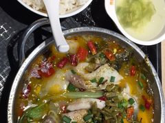 酸菜鱼-西南政法大学-学生1食堂