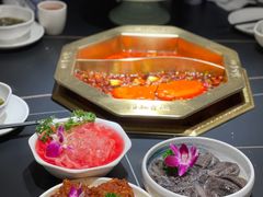-蜀九香火锅(彩虹店)