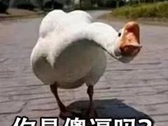 -武汉体育学院恒温游泳馆