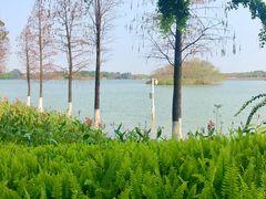 -海珠湖公园