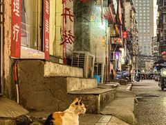 -老南昌白糖糕(大士院店)