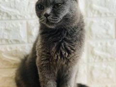 -平行世界·猫咖(首经贸店)