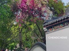 -深圳国际园林花卉博览园
