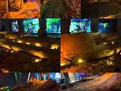 -乐山乌木文化博览苑