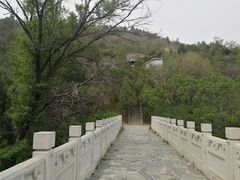-白水寺森林公园