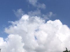 -江天生态园餐厅