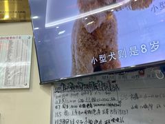 -全心全意连锁动物医院·微创中心·内科急重症·心脏专科(丰管路店)