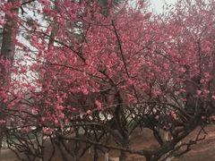 -白塘生态植物园