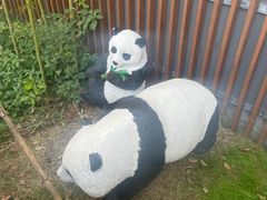-武汉动物园