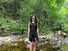 -牛背梁国家森林公园