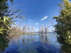 -洱海月湿地公园