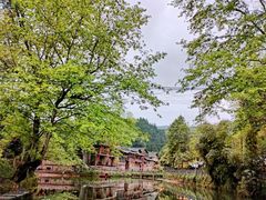 -雅安上里古镇