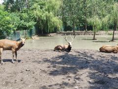 -溱湖国家湿地公园