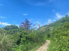 -东极岛景区
