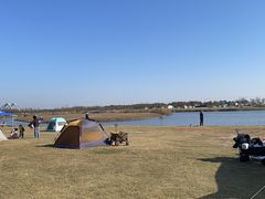 -春花秋色城市公园