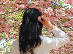-广东花都香草世界旅游度假区