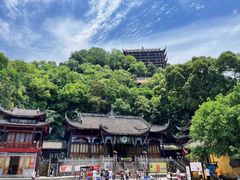 -南山植物园