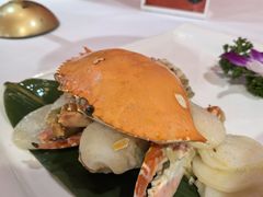 -月湖翠·上海菜(思南公馆淮海店)