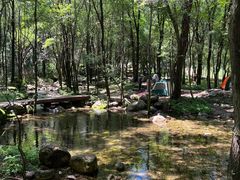 -玉渡山自然风景区