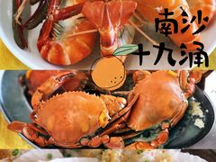 -大湾区中央湿地公园-十九涌