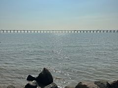 -宝安西湾红树林湿地公园