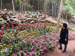 -广州市石门国家森林公园