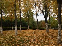 -白塘生态植物园