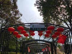 -渤公岛生态公园