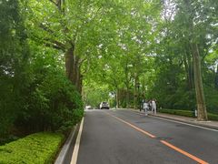 -棒棰岛宾馆景区