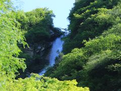 -太平万花山景区