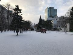 -札幌电视塔