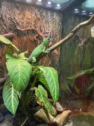 -酷嗒动物文化乐园(cutezoo西溪乐天城店)