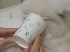 -美联众合动物医院·24h转诊中心