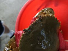 -三辣馆