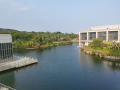 -厦门国家会计学院