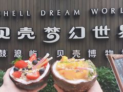 -贝壳梦幻世界