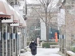 -绿地·中山里