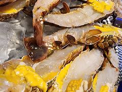-开海·红岛海鲜虾水饺(石老人店)