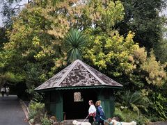 -墨尔本皇家植物园
