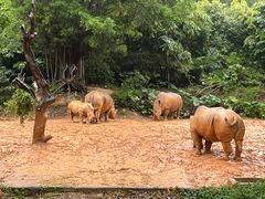 -广州长隆野生动物世界