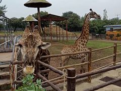 -西安秦岭野生动物园