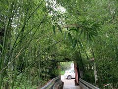 -老张烤羊(王哥庄店)