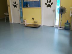 -瑞鹏宠物医院·爱宠堂·骨外专科(西荷分院)