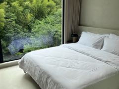 -黄山翡翠谷景区