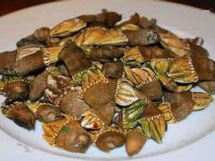 -食海部落