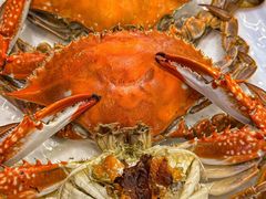 螃蟹-金沙滩海鲜餐厅·海肠捞饭·手工水饺(梅江龙水园店)