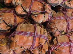 -蟹福家活蟹料理·豪华自助(绿洲假日酒店)